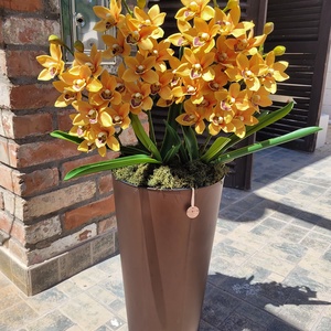 Állókaspós csónakorchidea virágdekoráció - otthon & életmód - dekoráció - virágdísz és tartó - virágállvány - Meska.hu