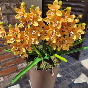 Állókaspós csónakorchidea virágdekoráció - otthon & életmód - dekoráció - virágdísz és tartó - virágállvány - Meska.hu