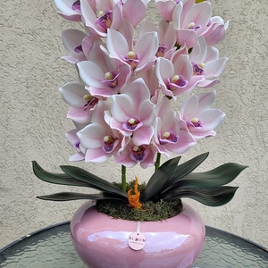Csónakorchidea dekoráció - otthon & életmód - dekoráció - virágdísz és tartó - csokor & virágdísz - Meska.hu