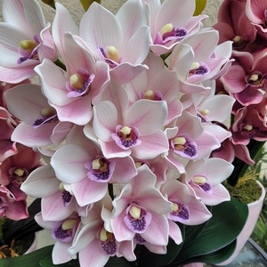 Csónakorchidea dekoráció - otthon & életmód - dekoráció - virágdísz és tartó - csokor & virágdísz - Meska.hu