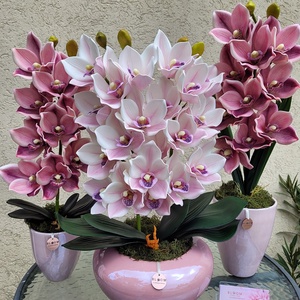 Csónakorchidea dekoráció - Meska.hu