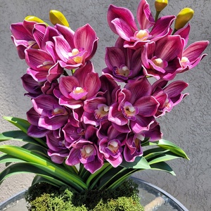 Csónakorchidea asztaldekoráció - otthon & életmód - dekoráció - virágdísz és tartó - csokor & virágdísz - Meska.hu