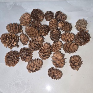Vörösfenyő toboz - natúr 5 dkg, Kellékek & szerszámok, Dekorációs kellékek, Termések, terméscsomagok, , MESKA
