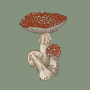 Pamut kapucnis pulóver gombás (Légyölő galóca) grafikával - ruha & divat - női ruha - pulóver - Meska.hu