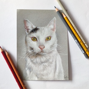 Egyedi állatportré A/5 méret, cica, kutya portré, realisztikus kisállat portré , Művészet, Portré & Karikatúra, Portré, Fotó, grafika, rajz, illusztráció, Festészet, MESKA