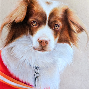 Egyedi Állatportré A/4 , színes cseruza portré, kutya, macska rajz portré - művészet - portré & karikatúra - portré - Meska.hu