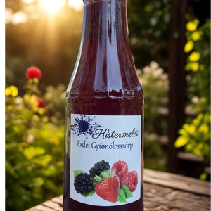 Erdei gyümölcsszörp, Élelmiszer, Szörp, Élelmiszer előállítás, MESKA