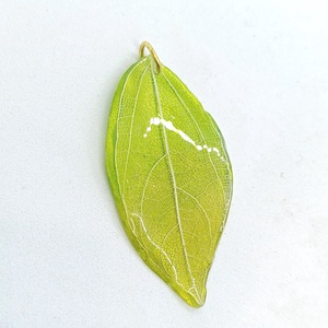 Levélér medálok - ékszer - nyaklánc - medál - Meska.hu