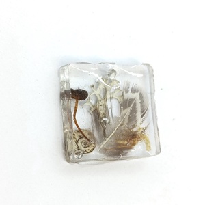 Erdei emlék - fácántollas, Ékszer, Nyaklánc, Medál, Ékszerkészítés, Újrahasznosított alapanyagból készült termékek, MESKA