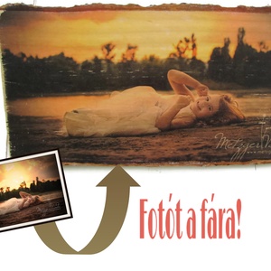 Fotótranszfer A/3 méretben, kérges fára - Meska.hu