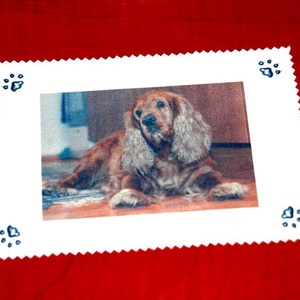 Szemüvegtörlő kendő egyedi fotóval - táska & tok - pénztárca & más tok - szemüvegtok - Meska.hu