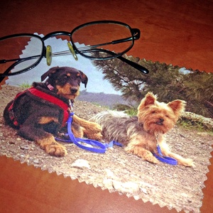 Szemüvegtörlő kendő egyedi fotóval - táska & tok - pénztárca & más tok - szemüvegtok - Meska.hu