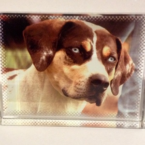 Fényképes üvegkristály, Otthon & Életmód, Dekoráció, Asztal és polc dekoráció, Díszüveg, Mindenmás, MESKA