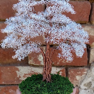 Dús lombú drót bonsai - Meska.hu