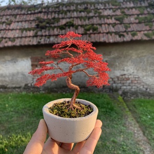 Kis méretű bonsai - Meska.hu