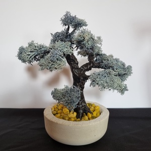 Mű bonsai, Otthon & Lakás, Dekoráció, Asztal és polc dekoráció, Bonsai, Festett tárgyak, Újrahasznosított alapanyagból készült termékek, Meska