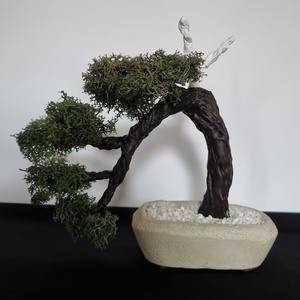 Mű bonsai - otthon & lakás - dekoráció - asztal és polc dekoráció - bonsai - Meska.hu