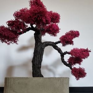 Mű bonsai - otthon & lakás - dekoráció - asztal és polc dekoráció - bonsai - Meska.hu