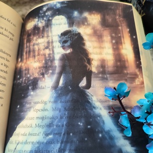 Celeana Yule Ball KönyvOverlay, Művészet, Grafika & Illusztráció, Művészi nyomat, Fotó, grafika, rajz, illusztráció, MESKA