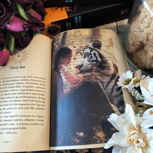 Tigris átka - Kelsey és Ren KönyvOverlay, Művészet, Grafika & Illusztráció, Művészi nyomat, Fotó, grafika, rajz, illusztráció, MESKA