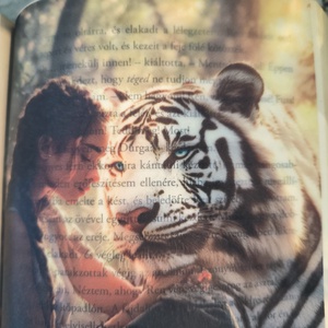 Tigris átka - Kelsey és Ren KönyvOverlay - művészet - grafika & illusztráció - művészi nyomat - Meska.hu