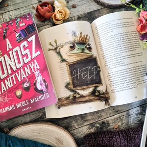 Kingsley - A Gonosz Asszisztense KönyvOverlay, Művészet, Grafika & Illusztráció, Művészi nyomat, Fotó, grafika, rajz, illusztráció, MESKA
