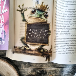 Kingsley - A Gonosz Asszisztense KönyvOverlay - művészet - grafika & illusztráció - művészi nyomat - Meska.hu