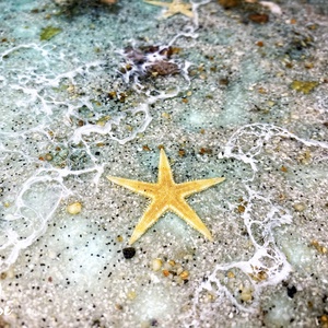 Műgyanta tenger dohányzóasztal - otthon & életmód - bútor - asztal - Meska.hu