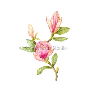 Magnólia - Print (Akvarell), Otthon & Lakás, Dekoráció, Kép & Falikép, Művészi nyomat, Festészet, Fotó, grafika, rajz, illusztráció, Meska