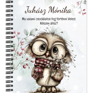 Személyre szabható - Cuki téli bagoly szemüvegben mintás A6-os füzet, Otthon & Életmód, Papír, írószer, Jegyzetfüzet & Napló, , MESKA