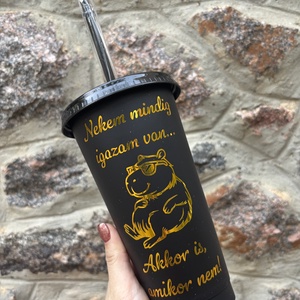 Nekem mindig igazam van... Capybara (Vízidisznó) Mintás Pohár - 710 ml - otthon & életmód - konyhafelszerelés, tálalás - tálalás - pohár - Meska.hu