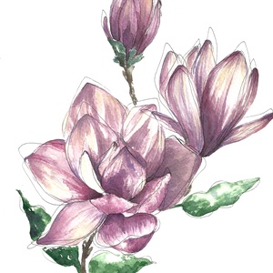 Akvarell Festmény - Magnólia, Művészet, Festmény, Akvarell, Festészet, MESKA
