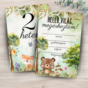 Erdei állatok kisfiú - baba mérföldkő kártyacsomag (kétoldalas) - művészet - grafika & illusztráció - digitális - Meska.hu