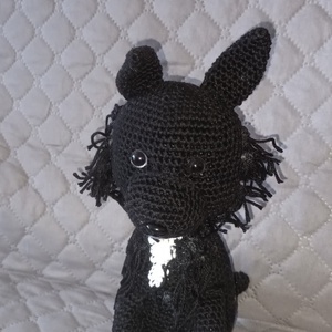 Border collie 1 - Meska.hu