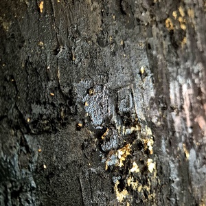 Fekete arany textúrált absztrakt festmény  - művészet - festmény - akril - Meska.hu