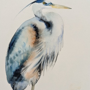 Szürkegém/ akvarell nyomat limitált, számozott - művészet - festmény - akvarell - Meska.hu