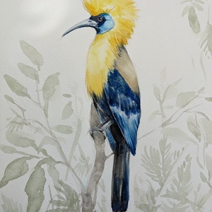 Trópusi madár 1/ akvarell print, limitált, sorszámozott - művészet - festmény - akvarell - Meska.hu