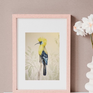 Trópusi madár 1/ akvarell print, limitált, sorszámozott - művészet - festmény - akvarell - Meska.hu