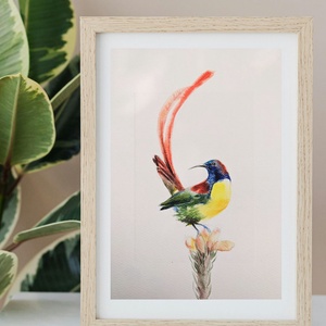 Trópusi madár 2/ akvarell print, limitált, sorszámozott - Meska.hu