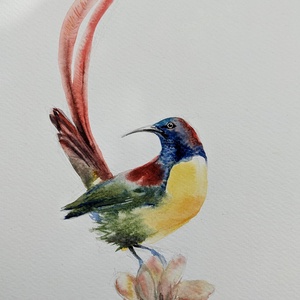 Trópusi madár 2/ akvarell print, limitált, sorszámozott - művészet - festmény - akvarell - Meska.hu