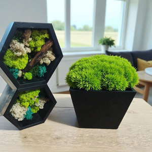 Mohás hexagon polc  - otthon & életmód - bútor - polc - Meska.hu