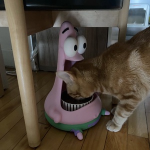 Cica,kutya,etetőtál,vagy cukor,csoki tartó. - Meska.hu