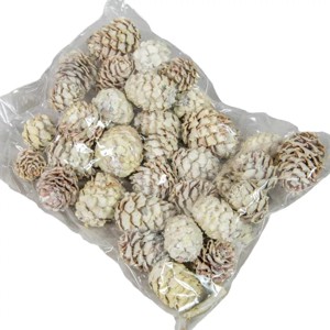 Sabulosum 18 dkg - falfestékes fehér, Kellékek & szerszámok, Dekorációs kellékek, Termések, terméscsomagok, , MESKA