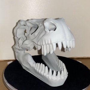 T-rex koponya több méretben - otthon & életmód - dekoráció - halloween - halloweeni asztaldísz - Meska.hu