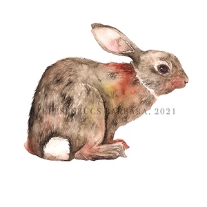 Nyuszi - Print , Otthon & Életmód, Babaszoba, gyerekszoba, Babaszoba kép, Fotó, grafika, rajz, illusztráció, MESKA