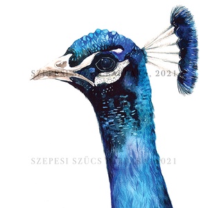 Páva - Print (Akvarell), Otthon & Életmód, Művészi nyomat, Kép & Falikép, Dekoráció, Fotó, grafika, rajz, illusztráció, MESKA