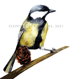 Cinke - Print (Akvarell) - Meska.hu