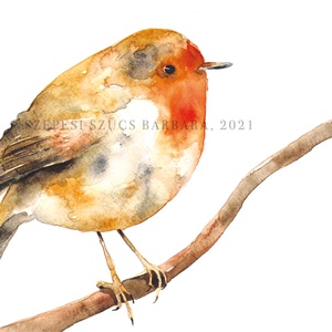 Vörösbegy - Print (Akvarell), Otthon & Életmód, Művészi nyomat, Kép & Falikép, Dekoráció, Fotó, grafika, rajz, illusztráció, MESKA