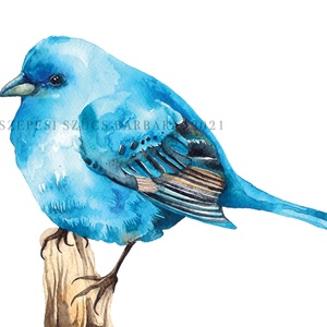 Kék madárka - Print (Akvarell), Otthon & Lakás, Művészi nyomat, Kép & Falikép, Dekoráció, Fotó, grafika, rajz, illusztráció, Meska