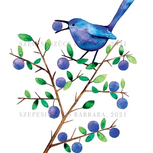 Kökényevő Madárka - Print  - Meska.hu